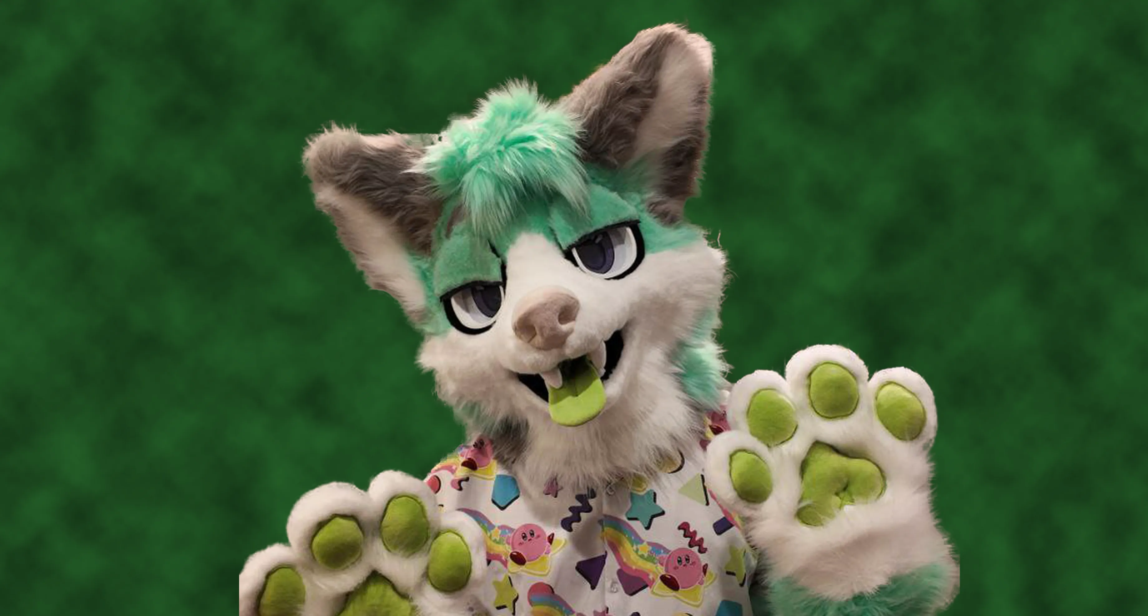 Drazi fursuit banner image